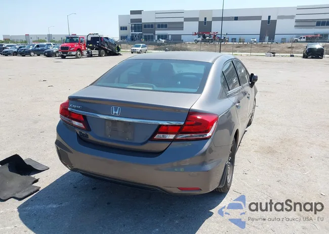 19XFB2F55EE051480: 43138729