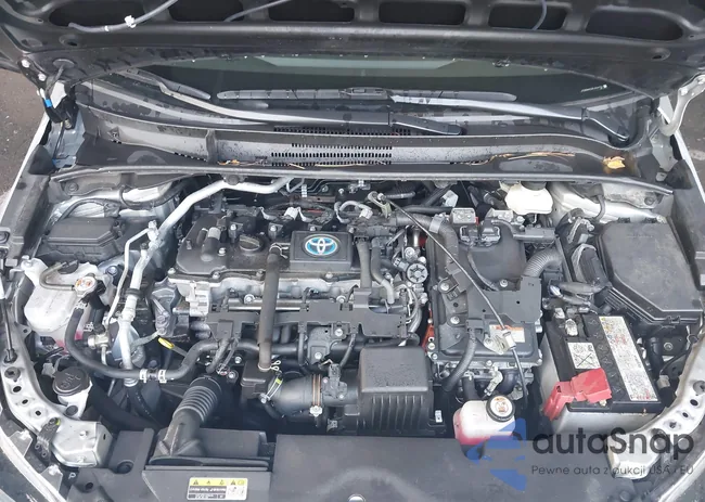 JTDBDMHE3RJ004796: 43138787