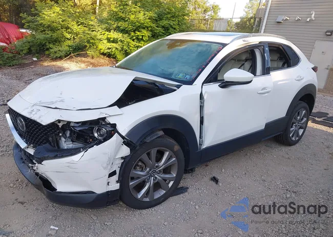 3MVDMBDL6MM305719: 43140575