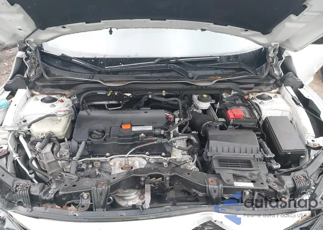 19XFC2F6XLE024309: 43141067