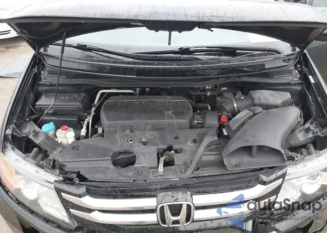 5FNRL5H66FB055230: 43140858