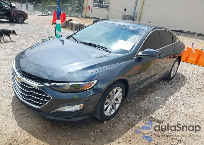 1G1ZD5ST0MF009258: 43142151