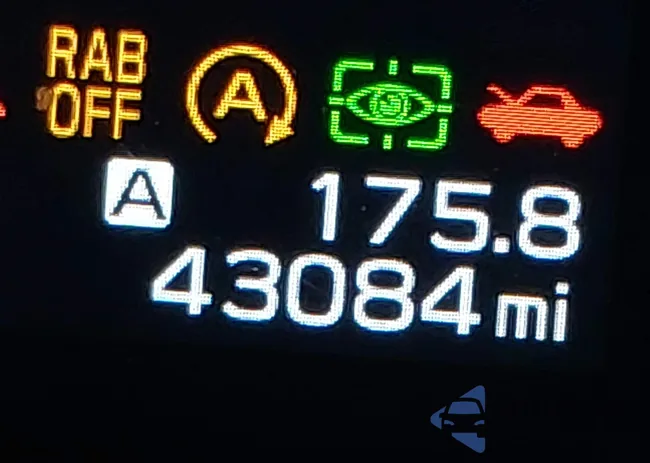 4S4BTANCXN3142317: 43141891