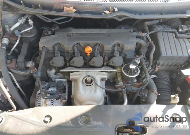 2HGFG12896H505314: 43142033