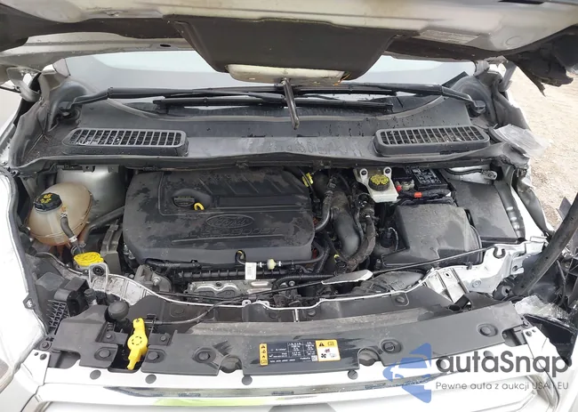 1FMCU9GD4JUB14880: 43142932