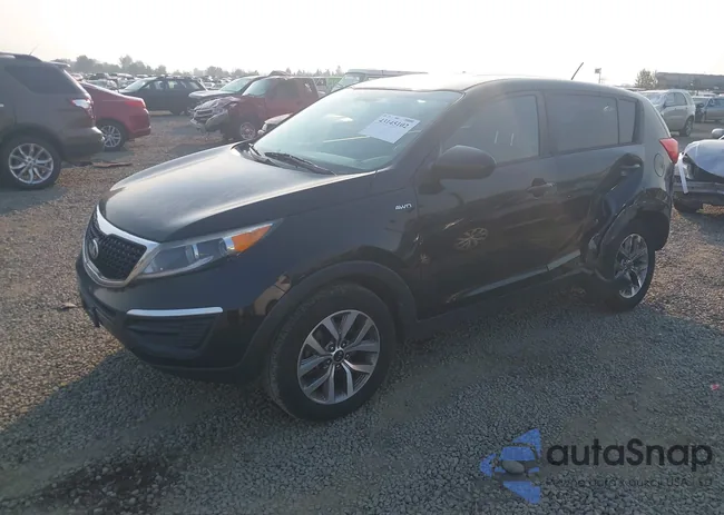 KNDPBCAC9G7881186: 43145102