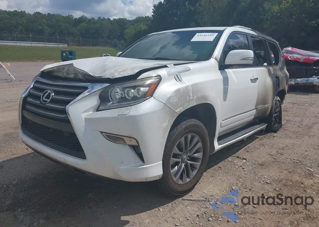 JTJJM7FXXF5096489: 43146189