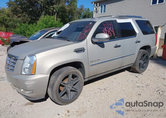 1GYS4CEF1BR160800: 43146341