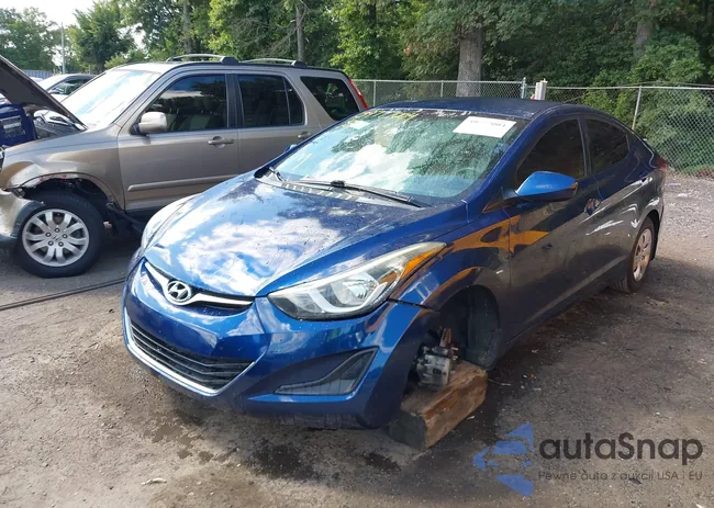 5NPDH4AE4GH785258: 43146428