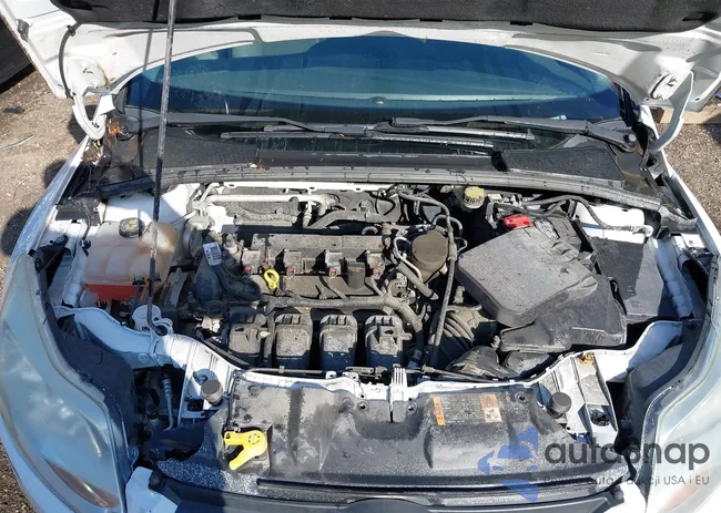 1FADP3E29EL393162: 43147112