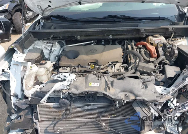 JTMRWRFV8LD060263: 43151177