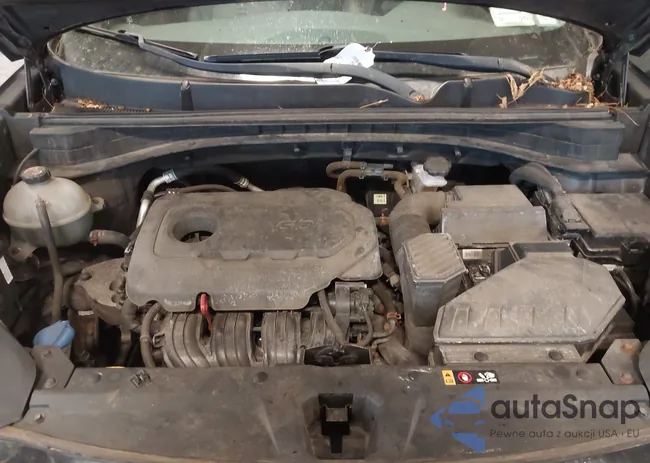 KNDPMCAC6J7400490: 43151215