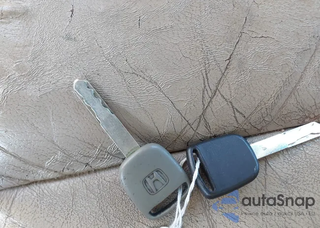 5FNRL38707B072796: 43150854