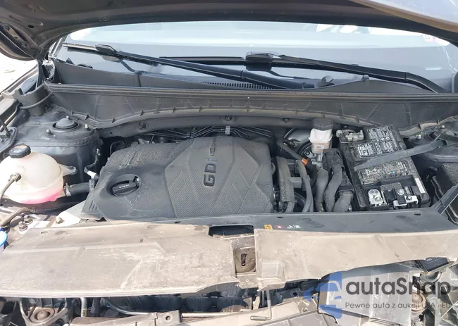 5NMJFCAE3PH211606: 43152329