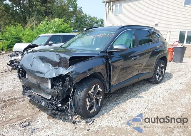 5NMJFCAE3PH211606: 43152329