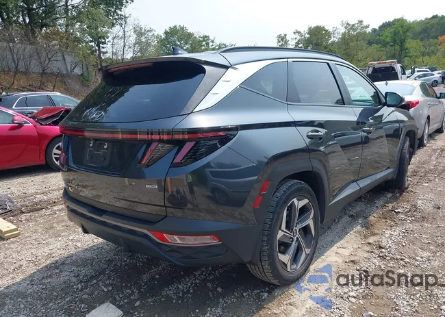 5NMJFCAE3PH211606: 43152329