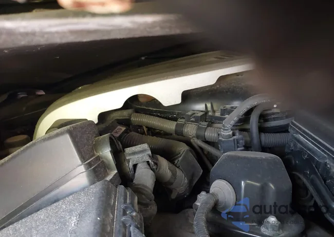 JTHCZ1BL7GA003156: 43152490