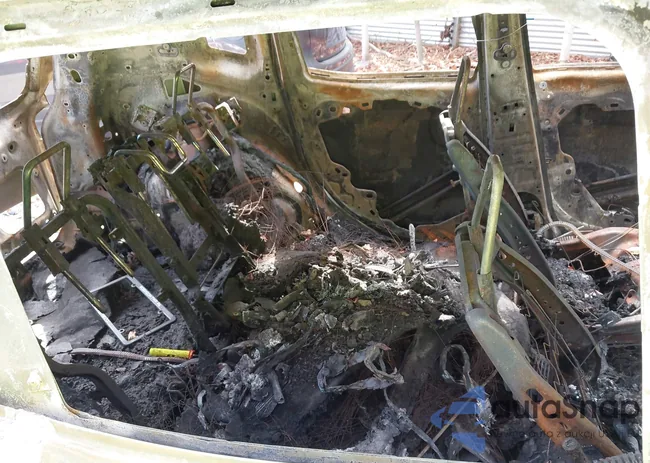 ZACCJBBT5GPC99454: 43151909