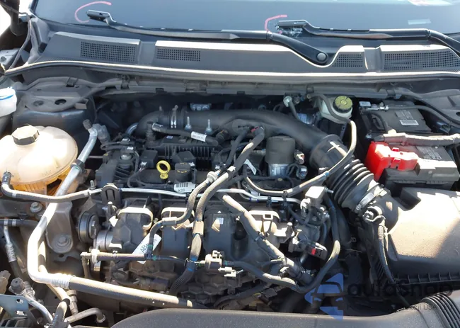 5LMCJ2C91NUL36278: 43152653