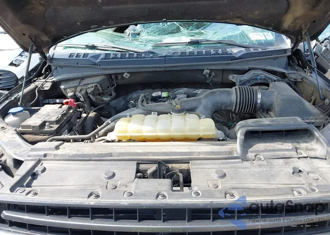 1FTEW1EPXKFB89157: 43152680