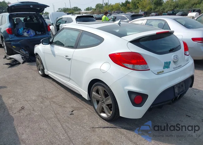 KMHTC6AE0DU128864: 43152786