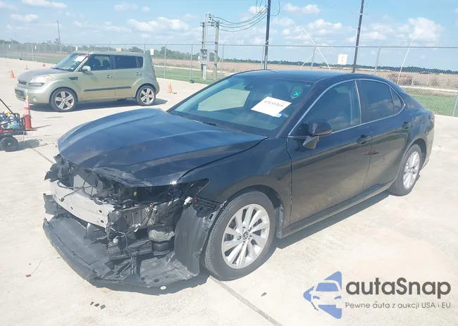 4T1C11AKXPU729038: 43155319