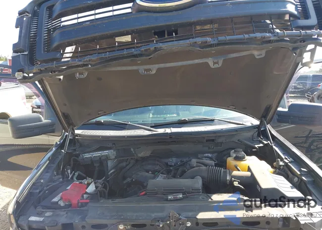 1FTMF1CM0DFD38456: 43155396