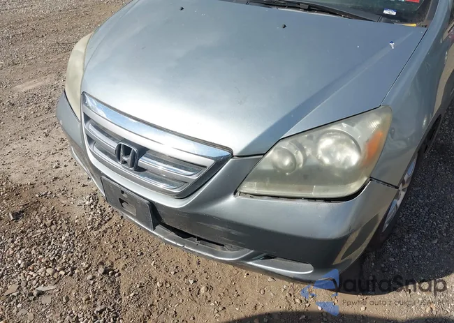 5FNRL38727B058866: 43156401