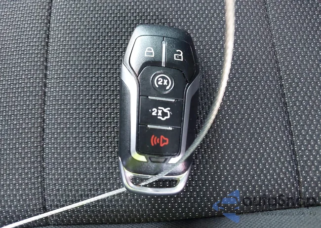 1FA6P8AM2F5347921: 43156535