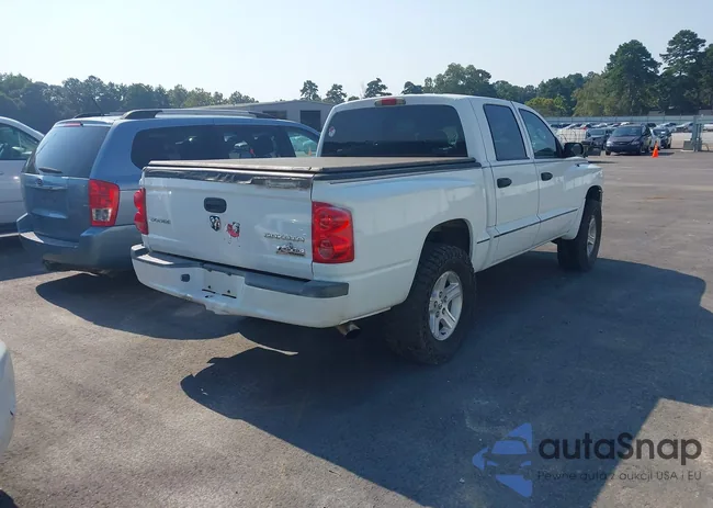 1D7CE3GK4AS212905: 43156539