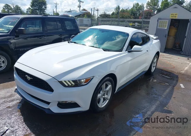 1FA6P8AM6H5259084: 43155924