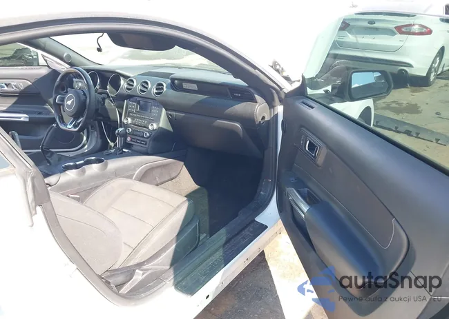 1FA6P8AM6H5259084: 43155924