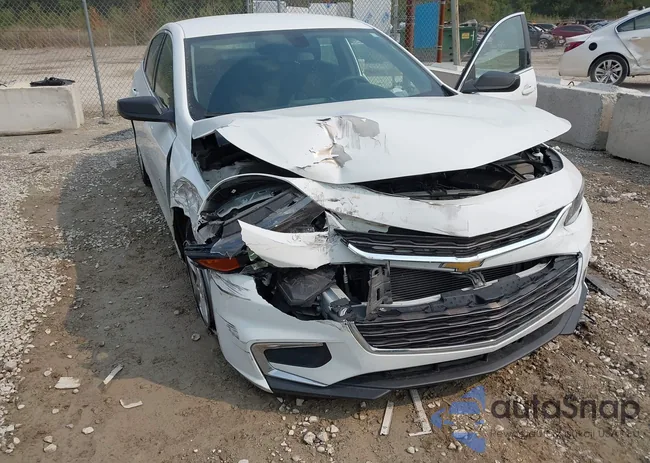 1G1ZB5ST7HF209081: 43157231