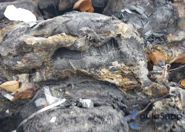 WBA5B1C59FD919409: 43157324