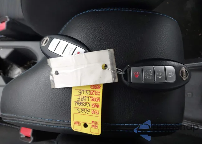 1N4CZ1CVXPC552846: 43157521