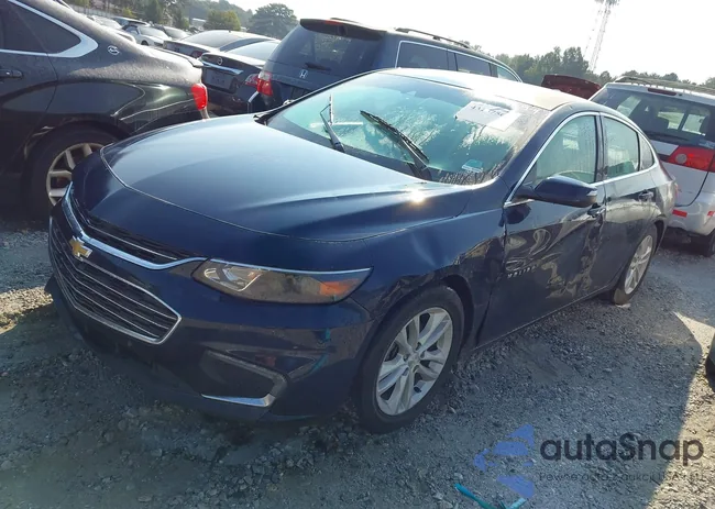 1G1ZJ5SU1HF180771: 43157564