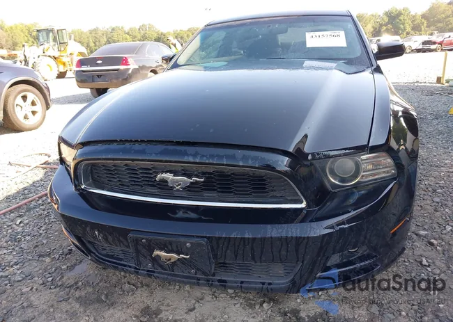 1ZVBP8AM2E5330069: 43157568