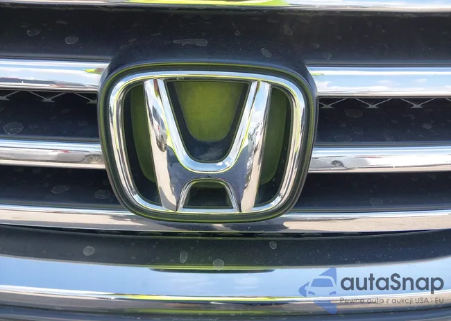 5FNYF3H54DB024750: 43156830