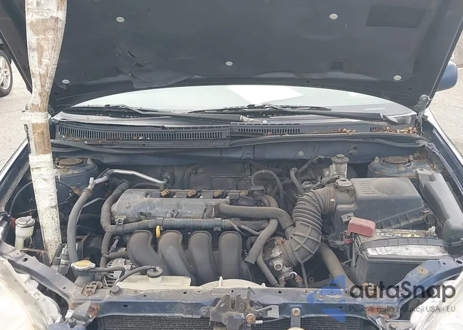 2T1BR32EX6C600550: 43156909