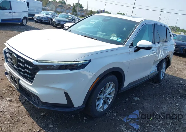 2HKRS4H49RH440766: 43157678