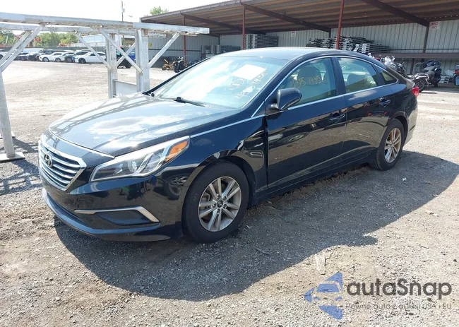 5NPE24AF2HH479398: 43157935