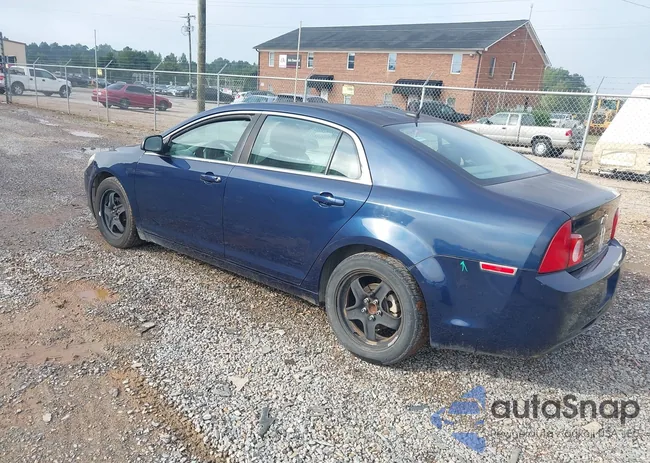 1G1ZB5E16BF385251: 43159454