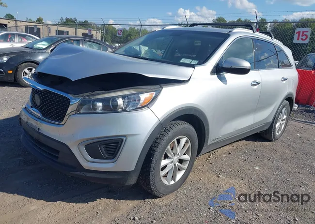 5XYPGDA56HG313104: 43158767