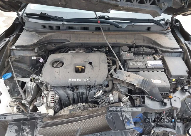 KM8K62AA1MU635491: 43158950