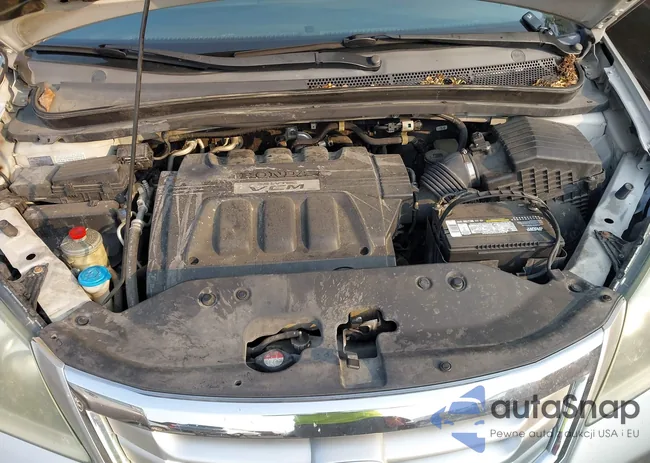 5FNRL38738B009144: 43160306