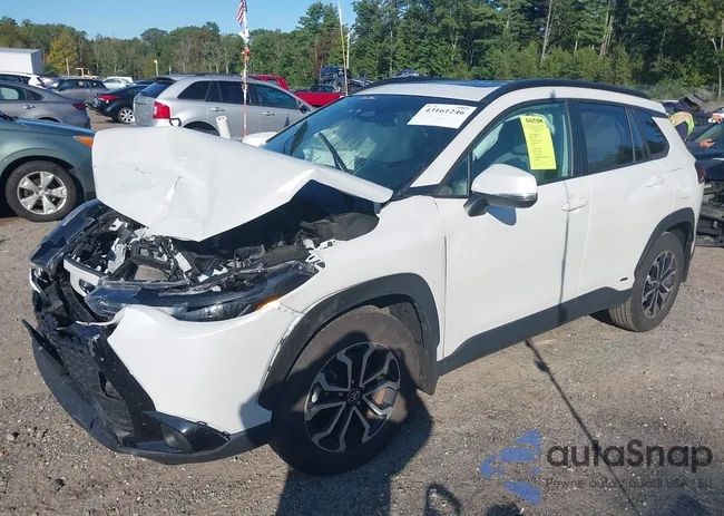 7MUFBABG7PV016309: 43161246