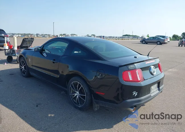 1ZVBP8AM6C5256362: 43161283