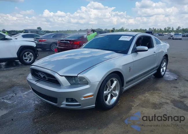 1ZVBP8AMXD5252221: 43160771