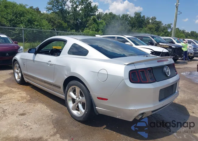 1ZVBP8AMXD5252221: 43160771