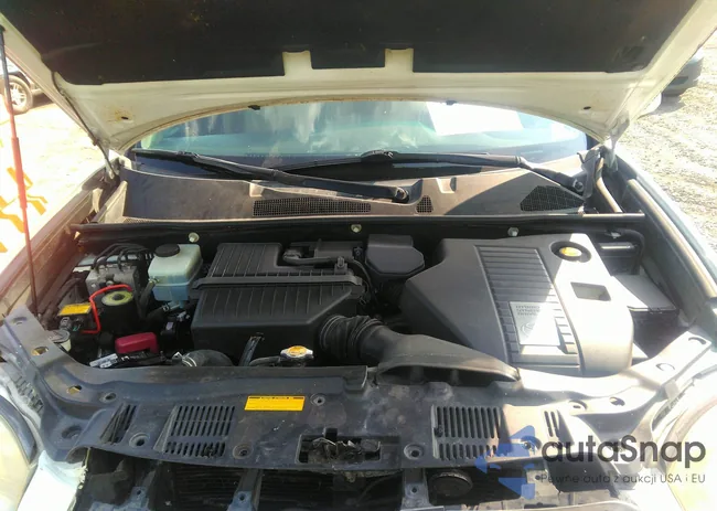 JTEEW44A582018732: 43162300